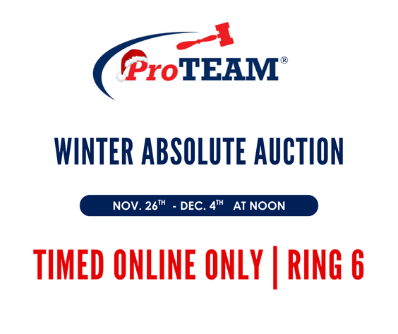 Image for RING 6 - 17th ANNUAL WINTER ABSOLUTE AUCTION