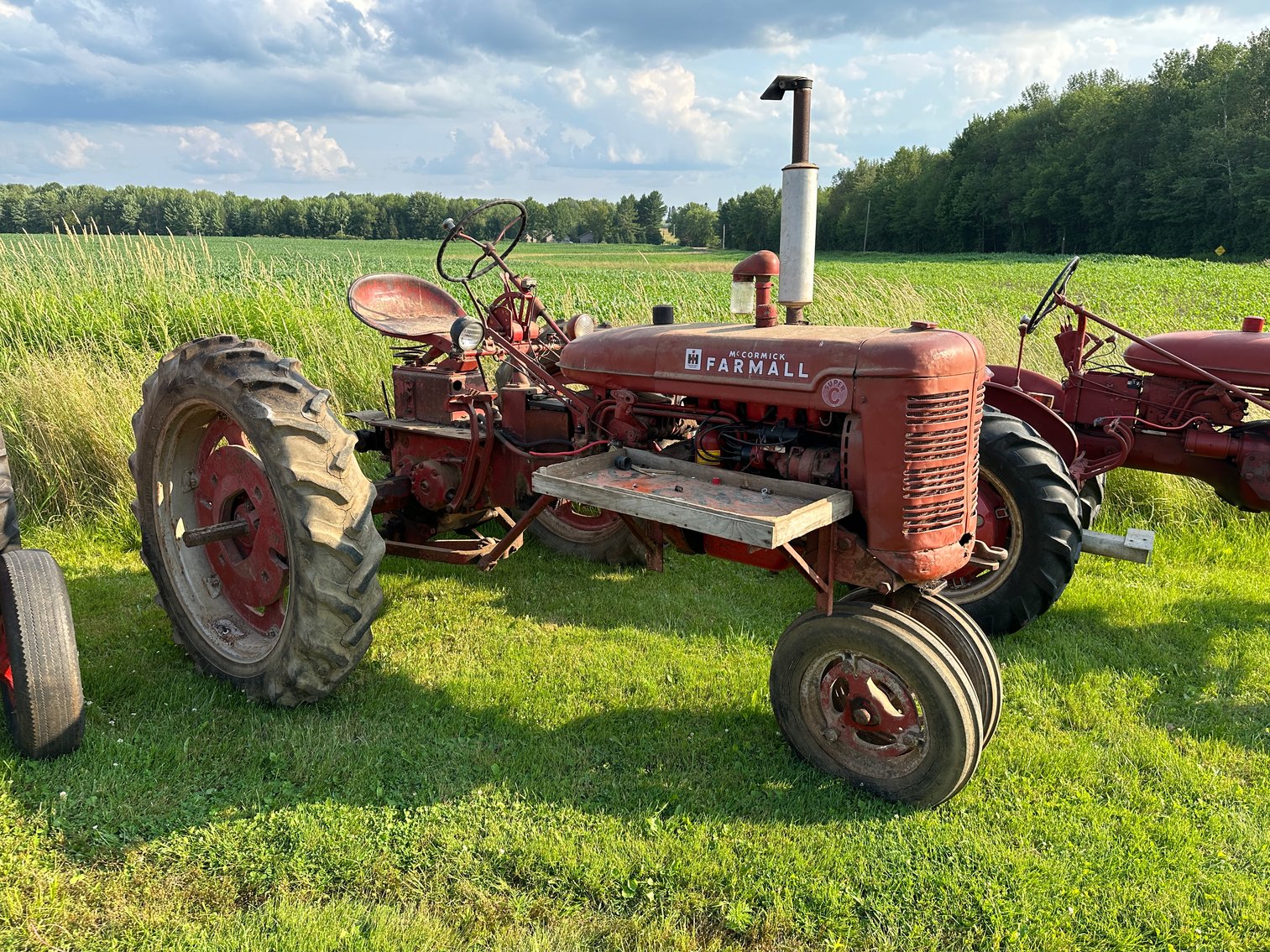 Image for THE ESTATE OF SHELDON VOIGT