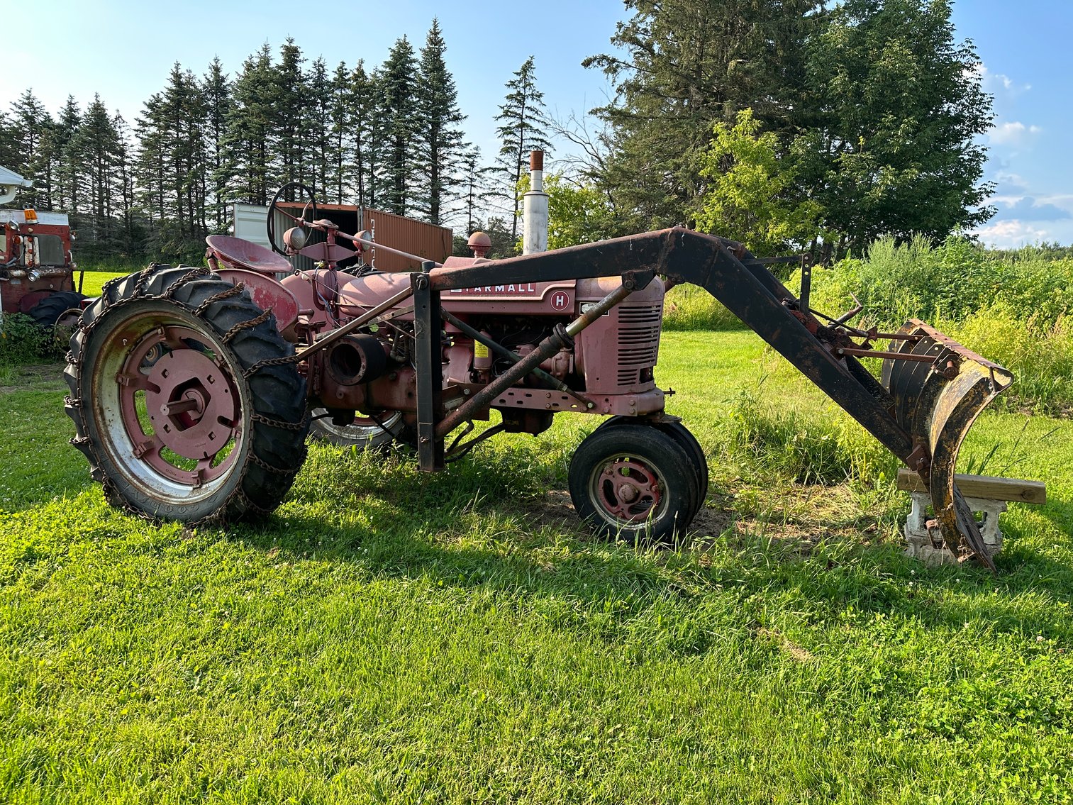 Image for THE ESTATE OF SHELDON VOIGT