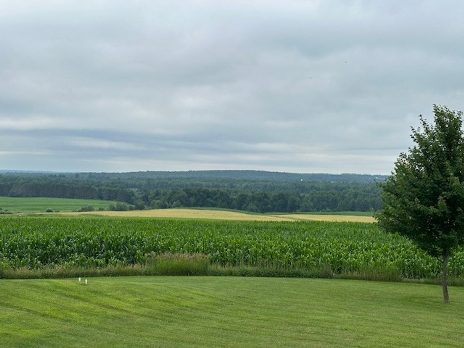 Image for Garry & Barb Schmidt Real Estate Auction