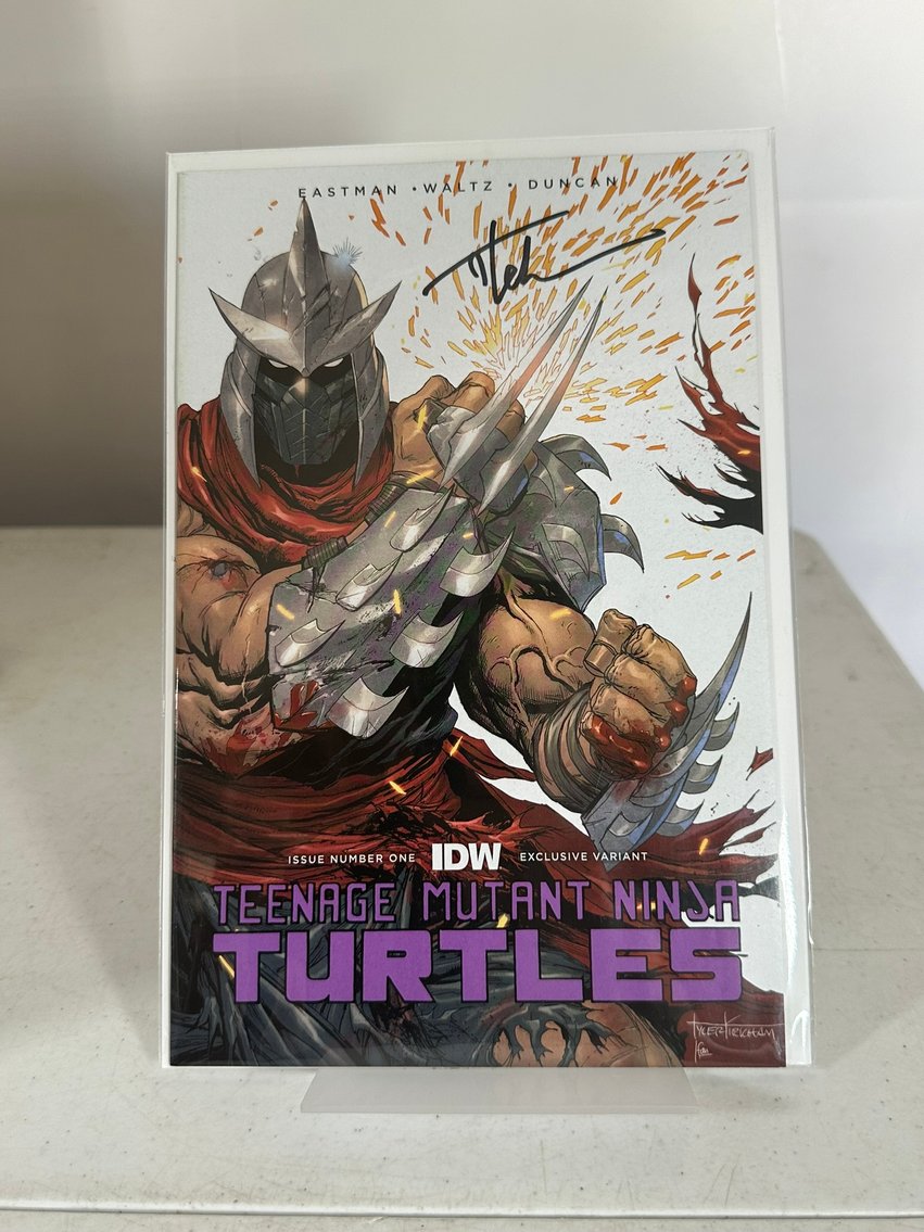 Image for COMICS & COLLECTIBLES - 500+ LOTS - TMNT & MORE