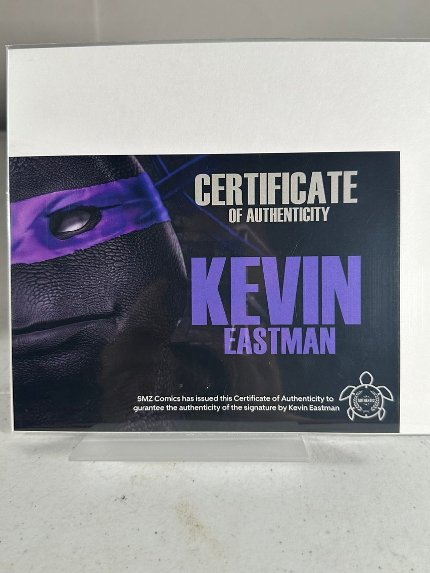 Image for COMICS & COLLECTIBLES - 500+ LOTS - TMNT & MORE