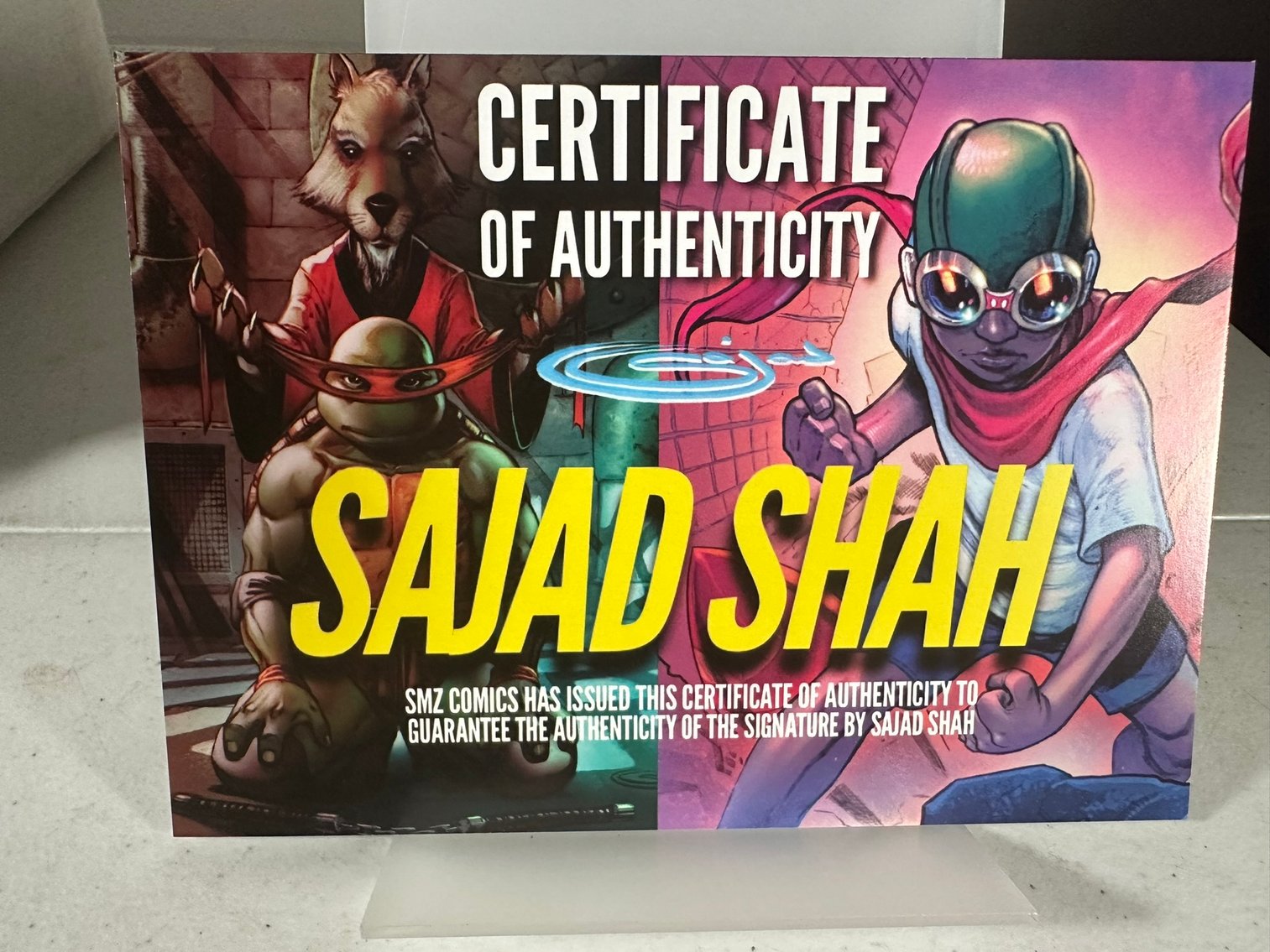 Image for COMICS & COLLECTIBLES - 500+ LOTS - TMNT & MORE