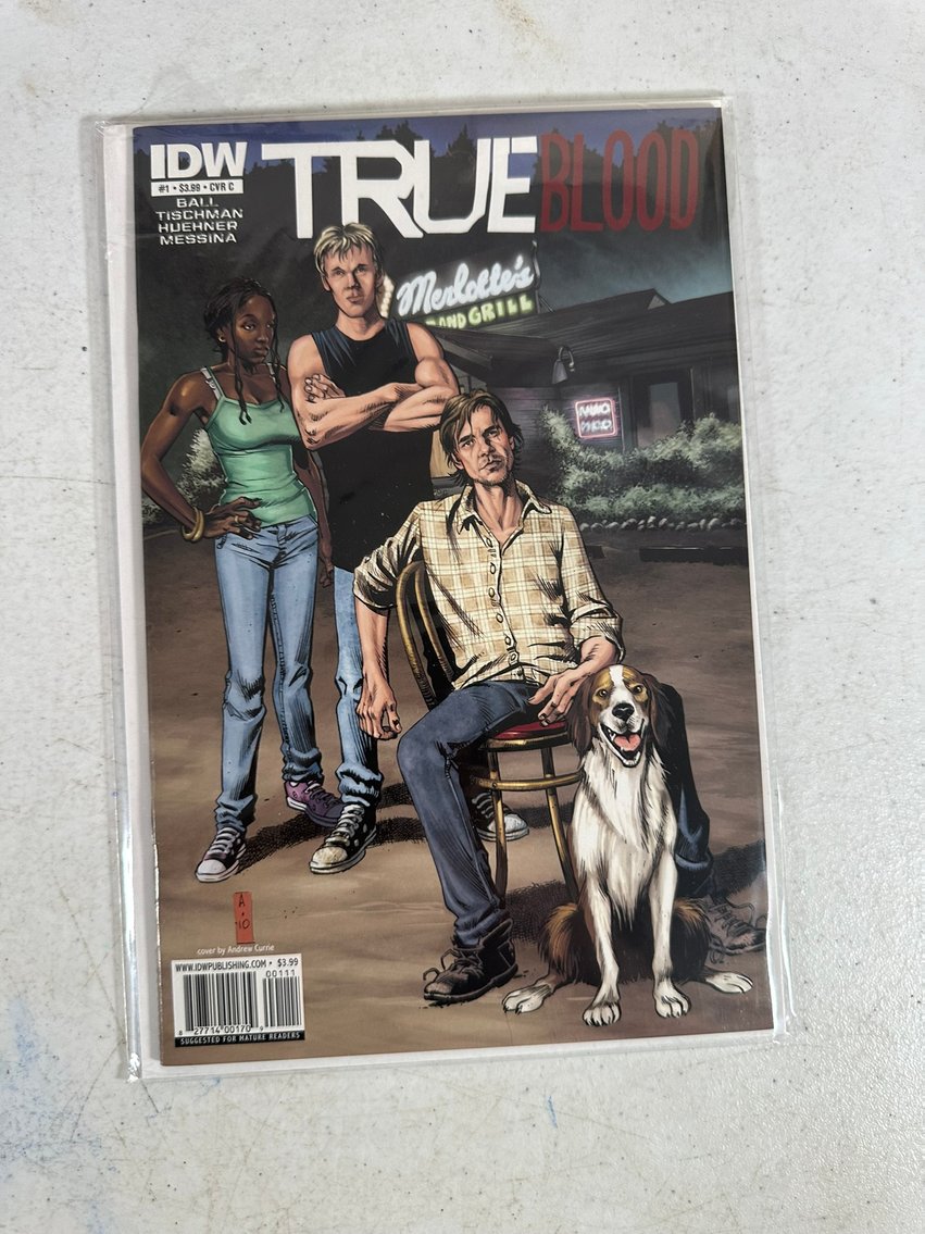 Image for COMICS & COLLECTIBLES - 500+ LOTS - TMNT & MORE