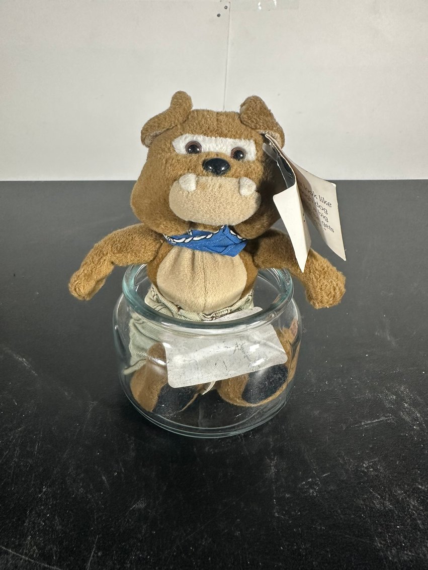 Image for THRIFT STORE LIQUIDATION - Absolute