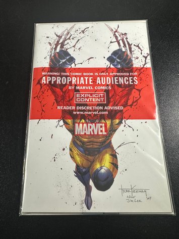 Image for COMICS & COLLECTIBLES - 300+ LOTS