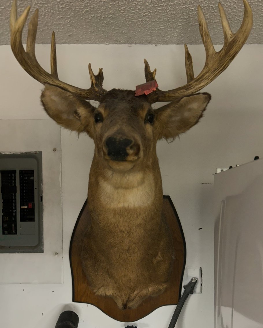 Image for ESTATE / GENERAL MERCHANDISE - 400+ LOTS