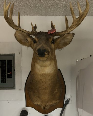 Image for ESTATE / GENERAL MERCHANDISE - 400+ LOTS