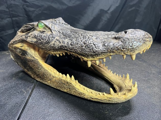 Image for ESTATE - NAPLES, FL - ANTIQUES, FIREARMS, TOOLS & MORE