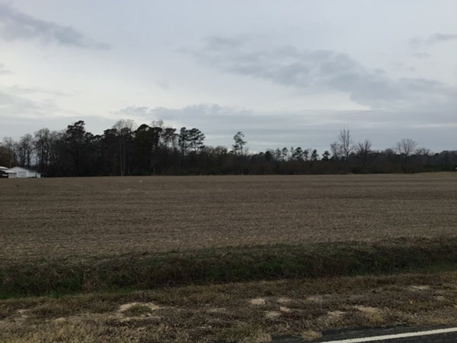 Image for 197 Acres in Harnett County Divided into Multiple Tracts with a Brick Ranch Home!