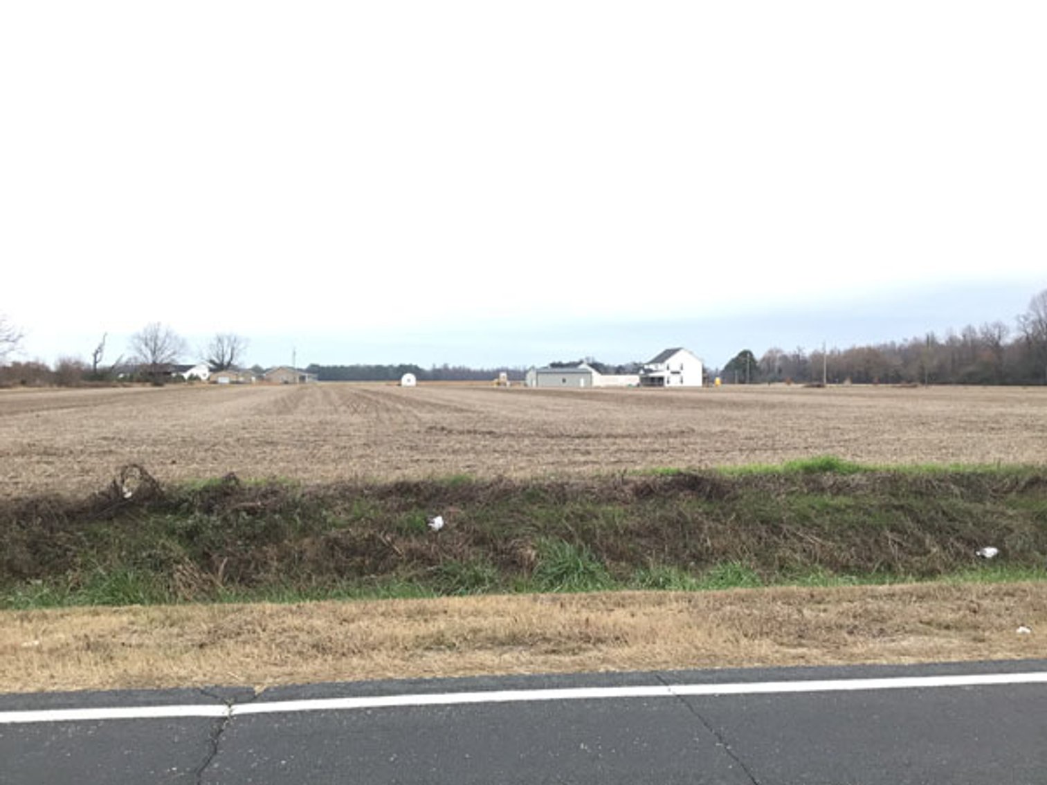 Image for 197 Acres in Harnett County Divided into Multiple Tracts with a Brick Ranch Home!