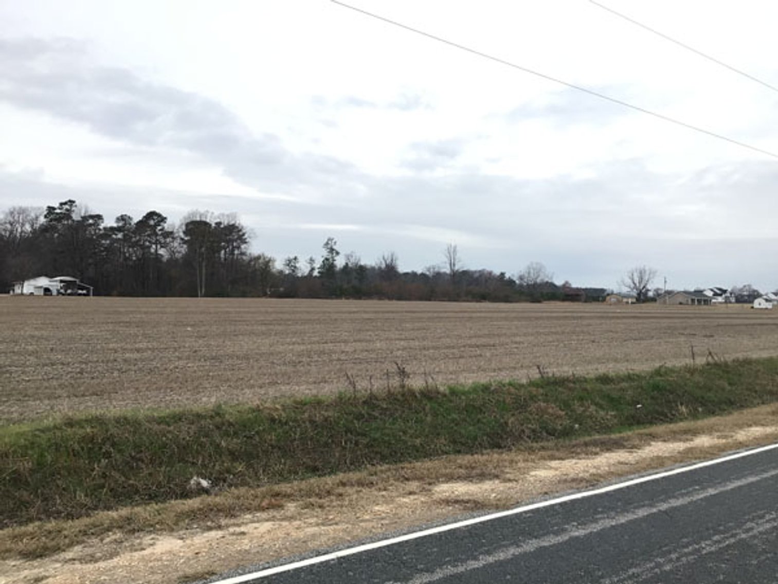 Image for 197 Acres in Harnett County Divided into Multiple Tracts with a Brick Ranch Home!