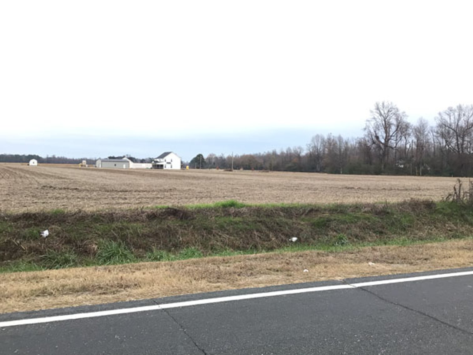 Image for 197 Acres in Harnett County Divided into Multiple Tracts with a Brick Ranch Home!