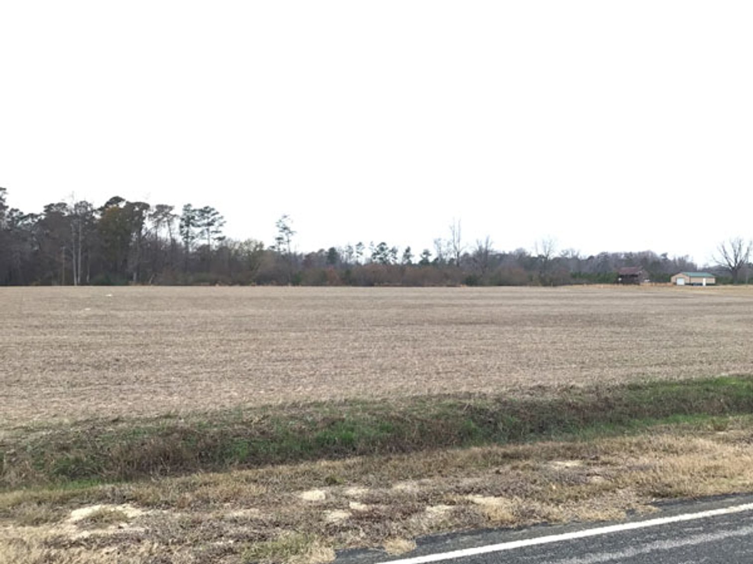Image for 197 Acres in Harnett County Divided into Multiple Tracts with a Brick Ranch Home!