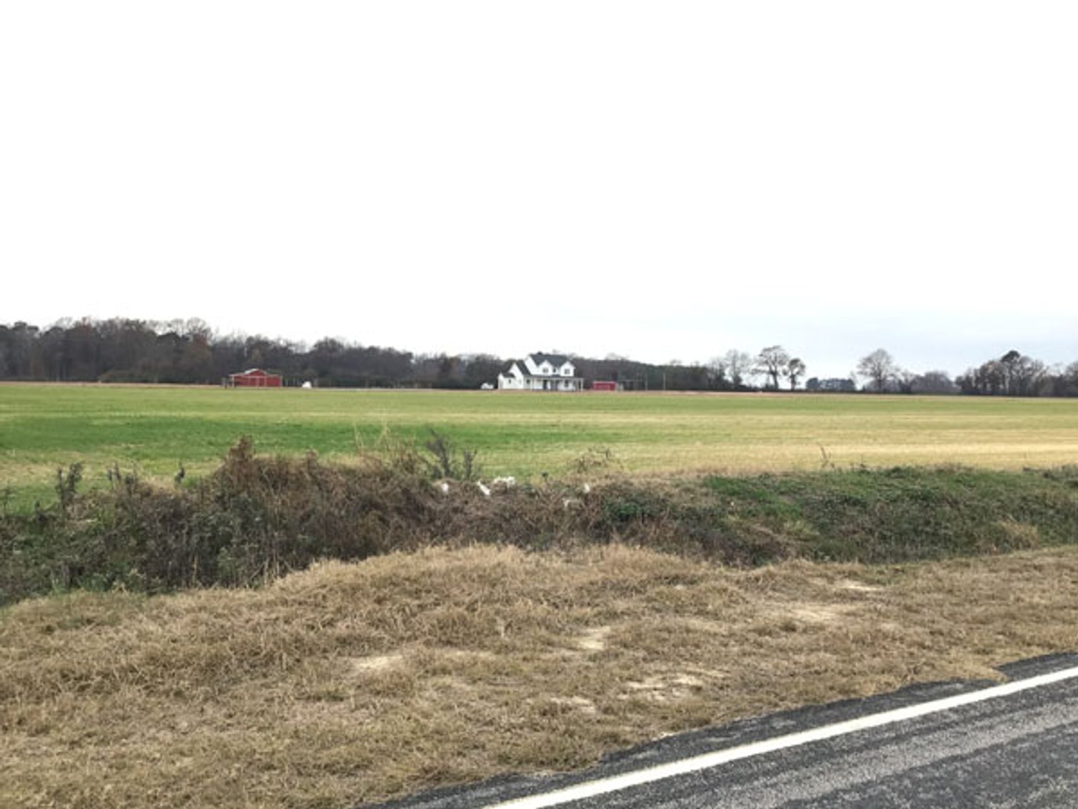 Image for 197 Acres in Harnett County Divided into Multiple Tracts with a Brick Ranch Home!