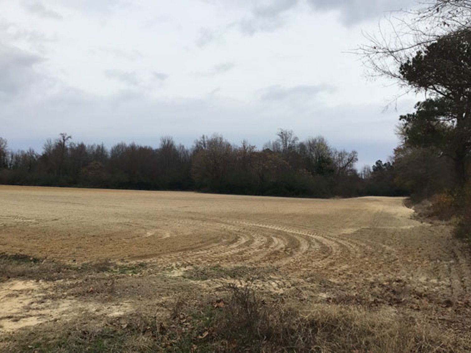 Image for 197 Acres in Harnett County Divided into Multiple Tracts with a Brick Ranch Home!