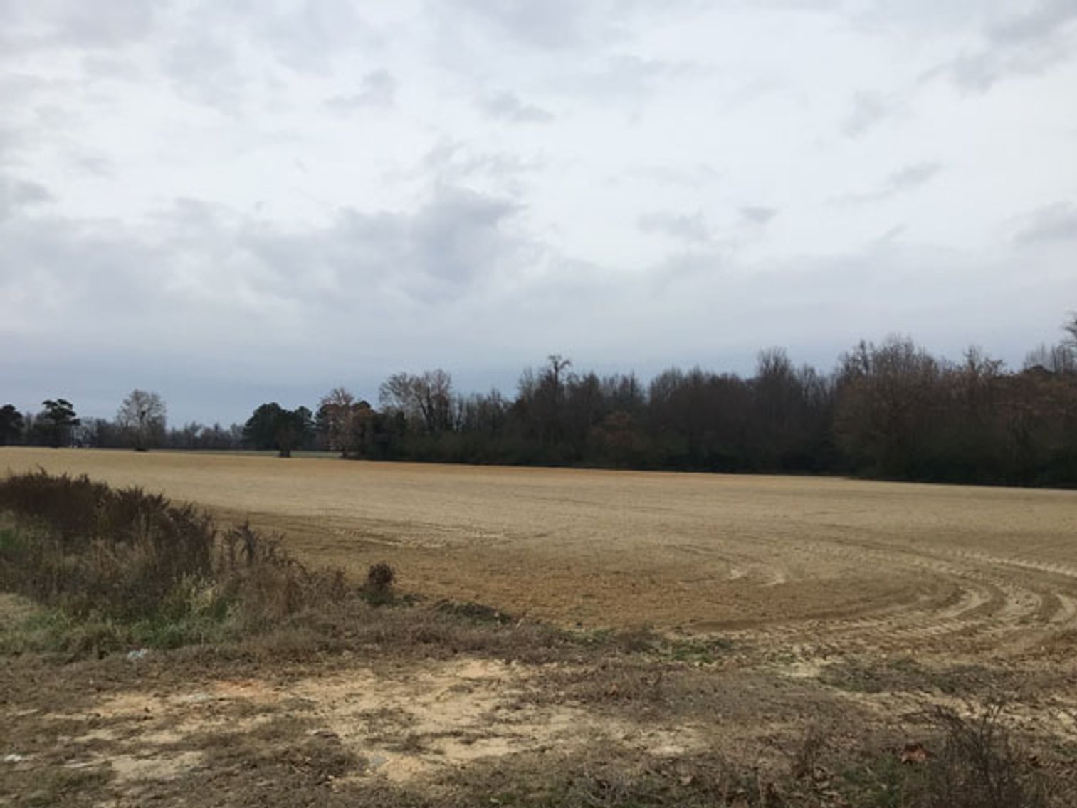 Image for 197 Acres in Harnett County Divided into Multiple Tracts with a Brick Ranch Home!