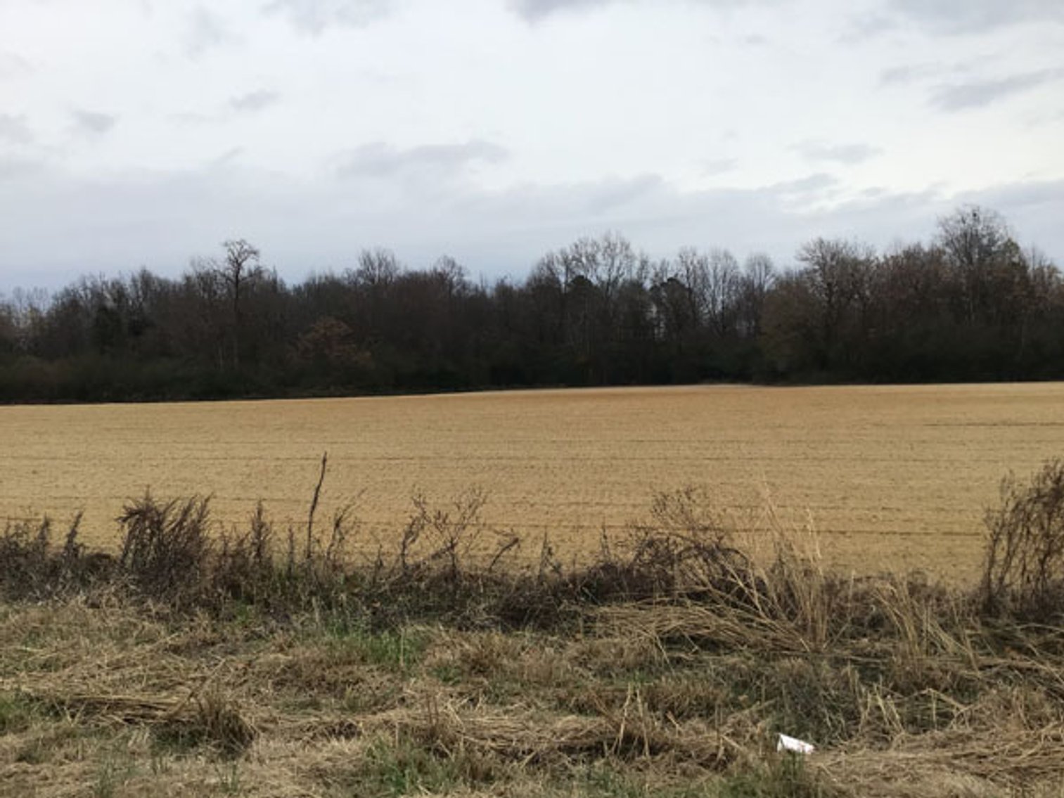 Image for 197 Acres in Harnett County Divided into Multiple Tracts with a Brick Ranch Home!