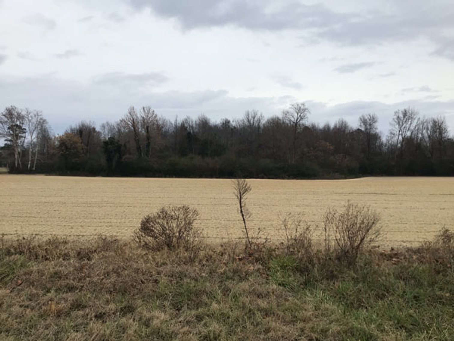 Image for 197 Acres in Harnett County Divided into Multiple Tracts with a Brick Ranch Home!