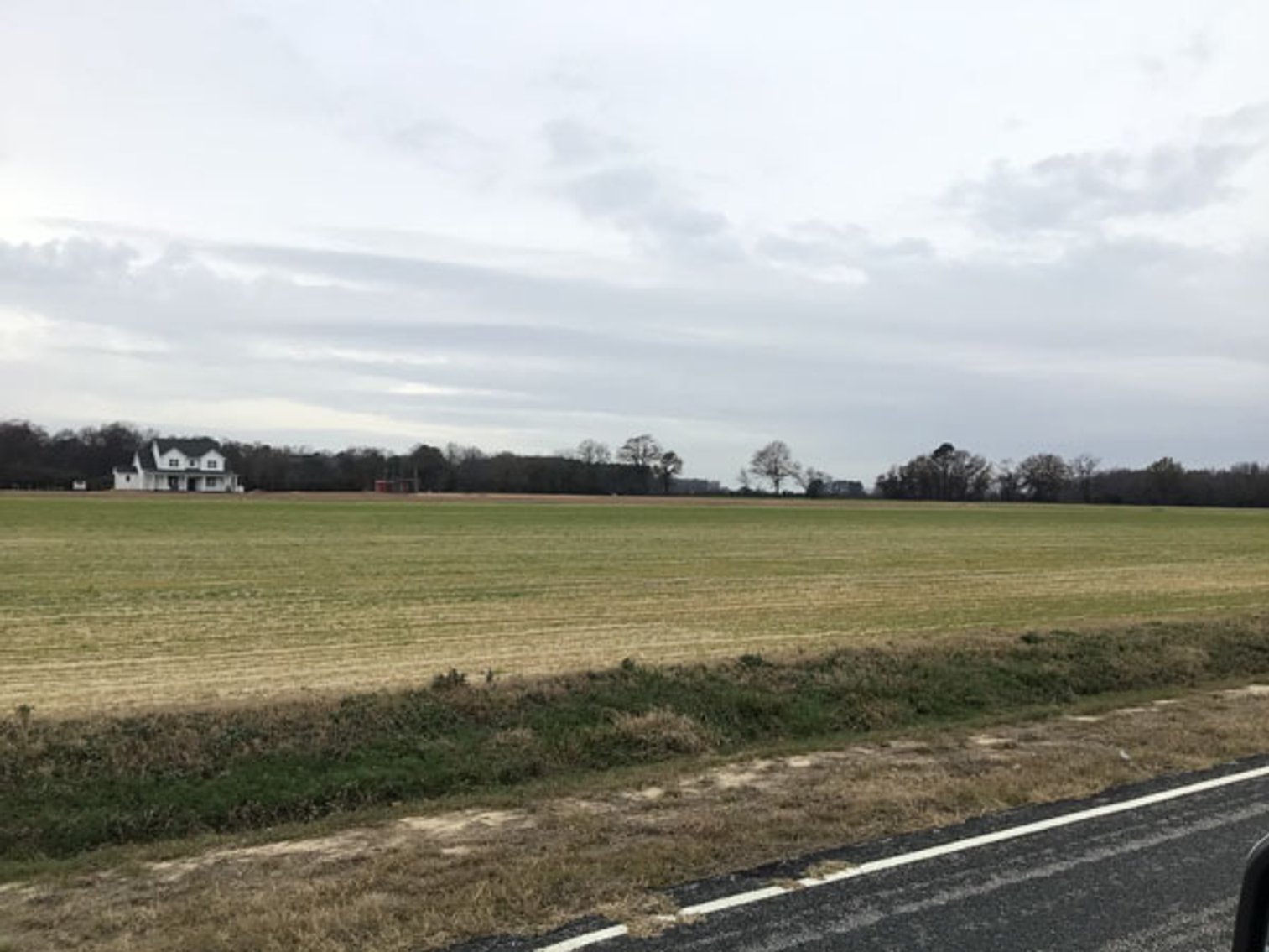 Image for 197 Acres in Harnett County Divided into Multiple Tracts with a Brick Ranch Home!