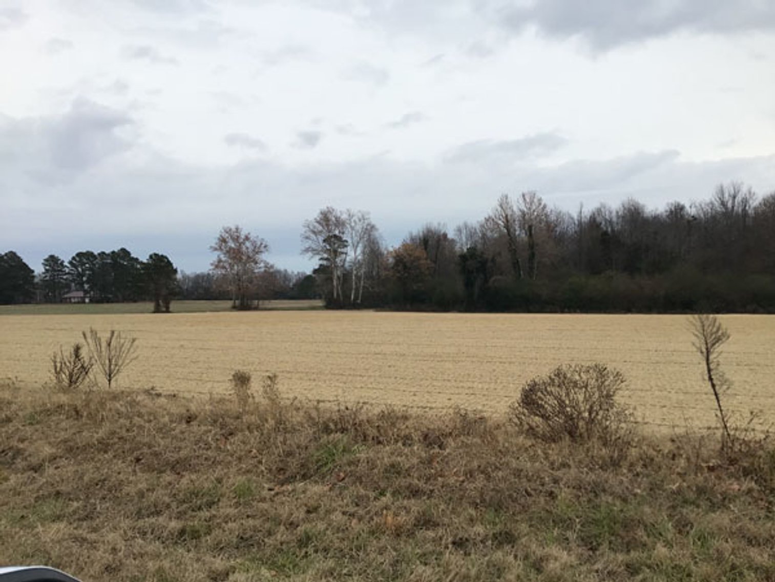 Image for 197 Acres in Harnett County Divided into Multiple Tracts with a Brick Ranch Home!