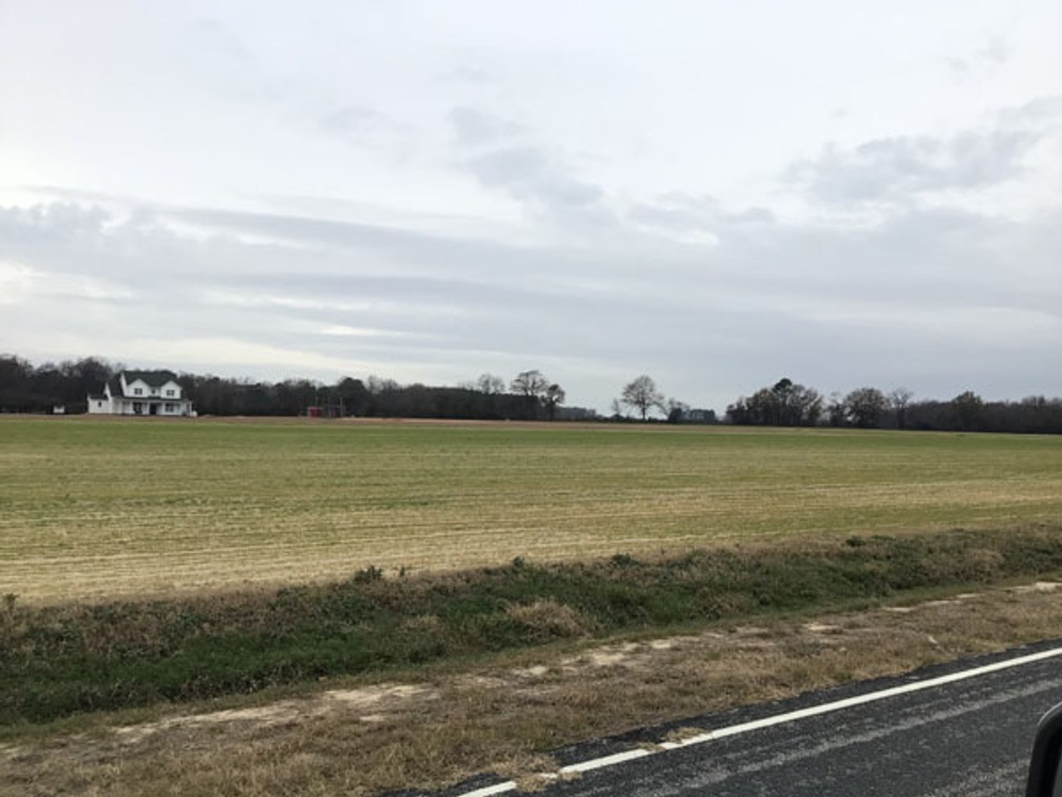 Image for 197 Acres in Harnett County Divided into Multiple Tracts with a Brick Ranch Home!