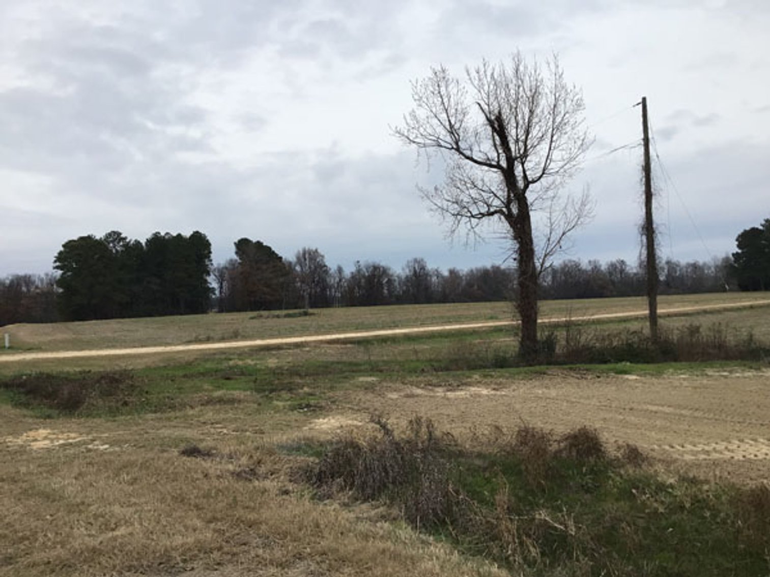 Image for 197 Acres in Harnett County Divided into Multiple Tracts with a Brick Ranch Home!