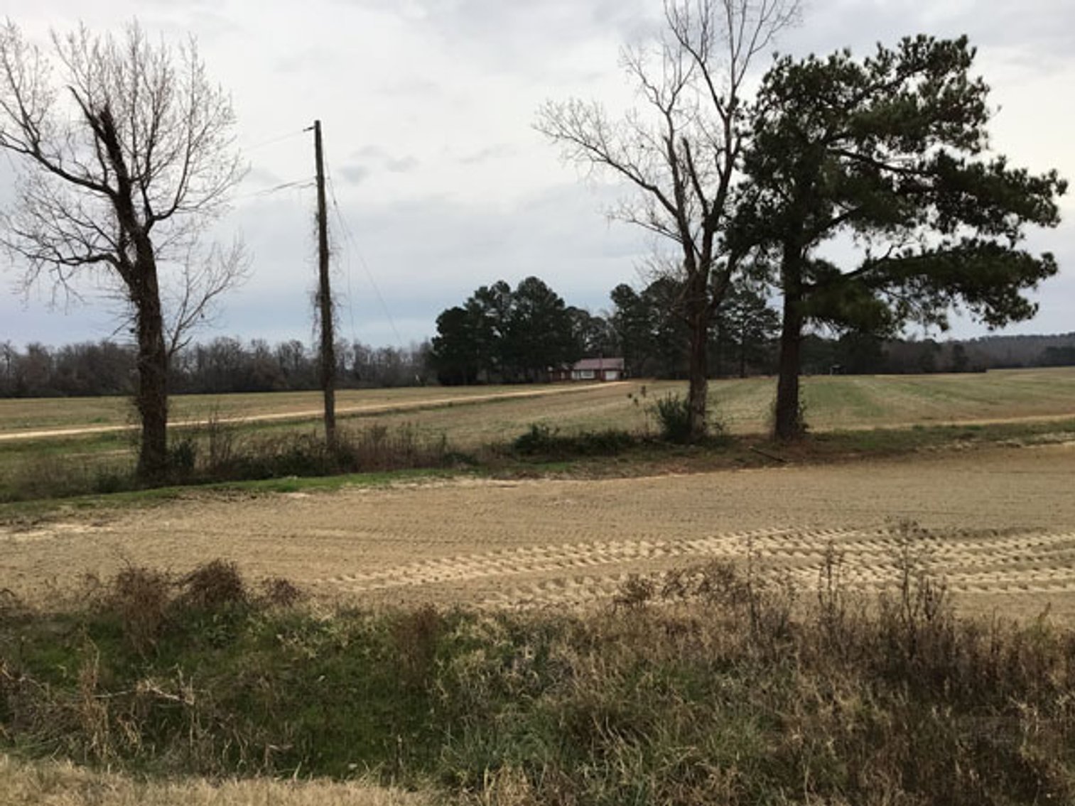 Image for 197 Acres in Harnett County Divided into Multiple Tracts with a Brick Ranch Home!