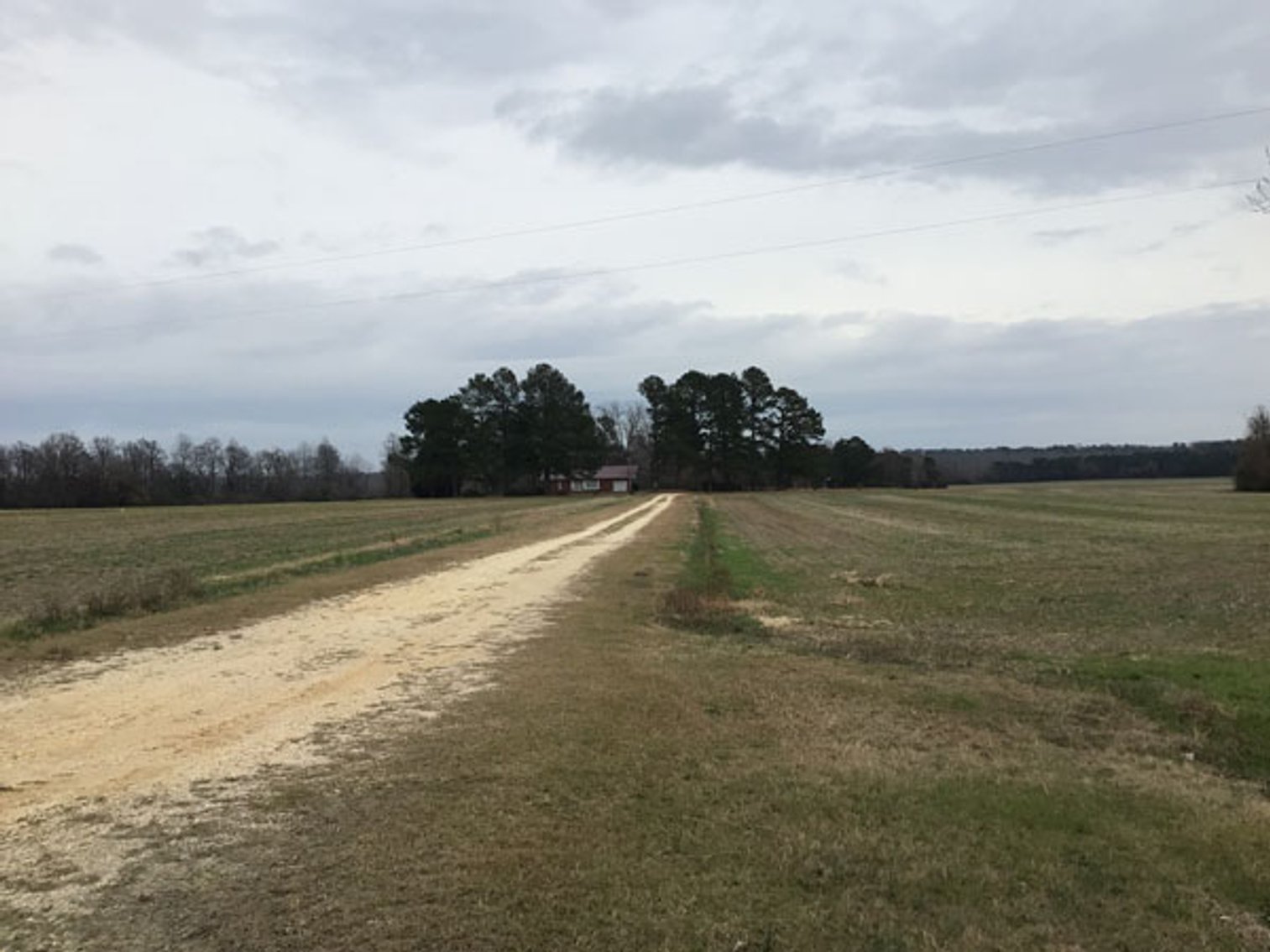 Image for 197 Acres in Harnett County Divided into Multiple Tracts with a Brick Ranch Home!