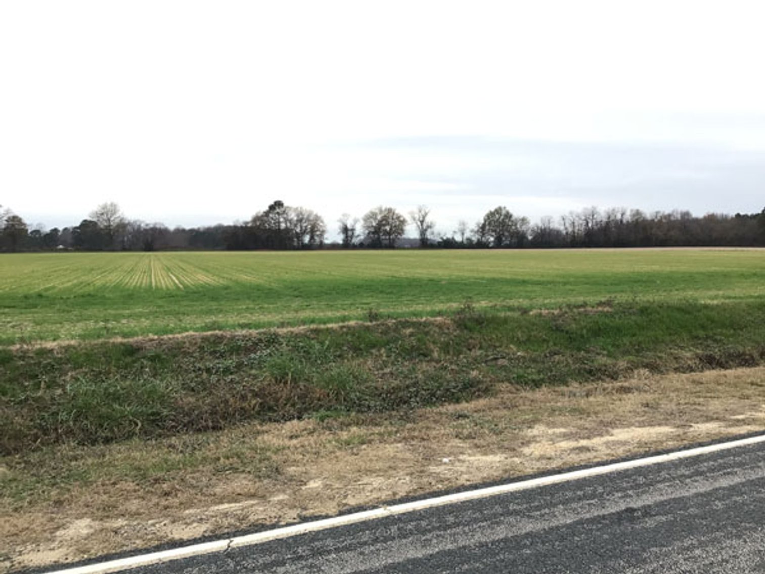Image for 197 Acres in Harnett County Divided into Multiple Tracts with a Brick Ranch Home!