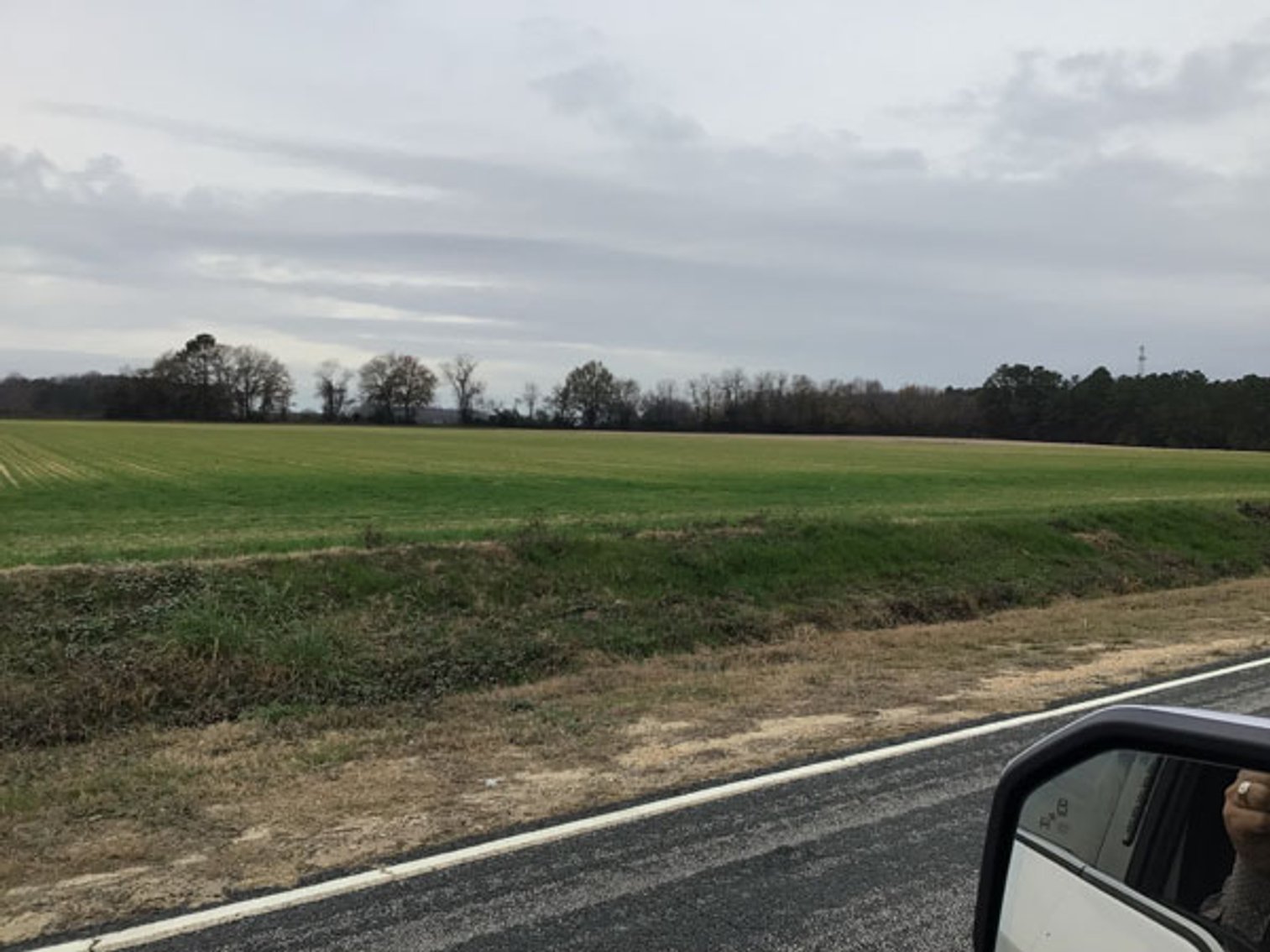 Image for 197 Acres in Harnett County Divided into Multiple Tracts with a Brick Ranch Home!