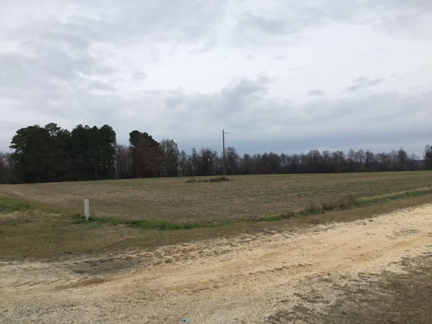 Image for 197 Acres in Harnett County Divided into Multiple Tracts with a Brick Ranch Home!