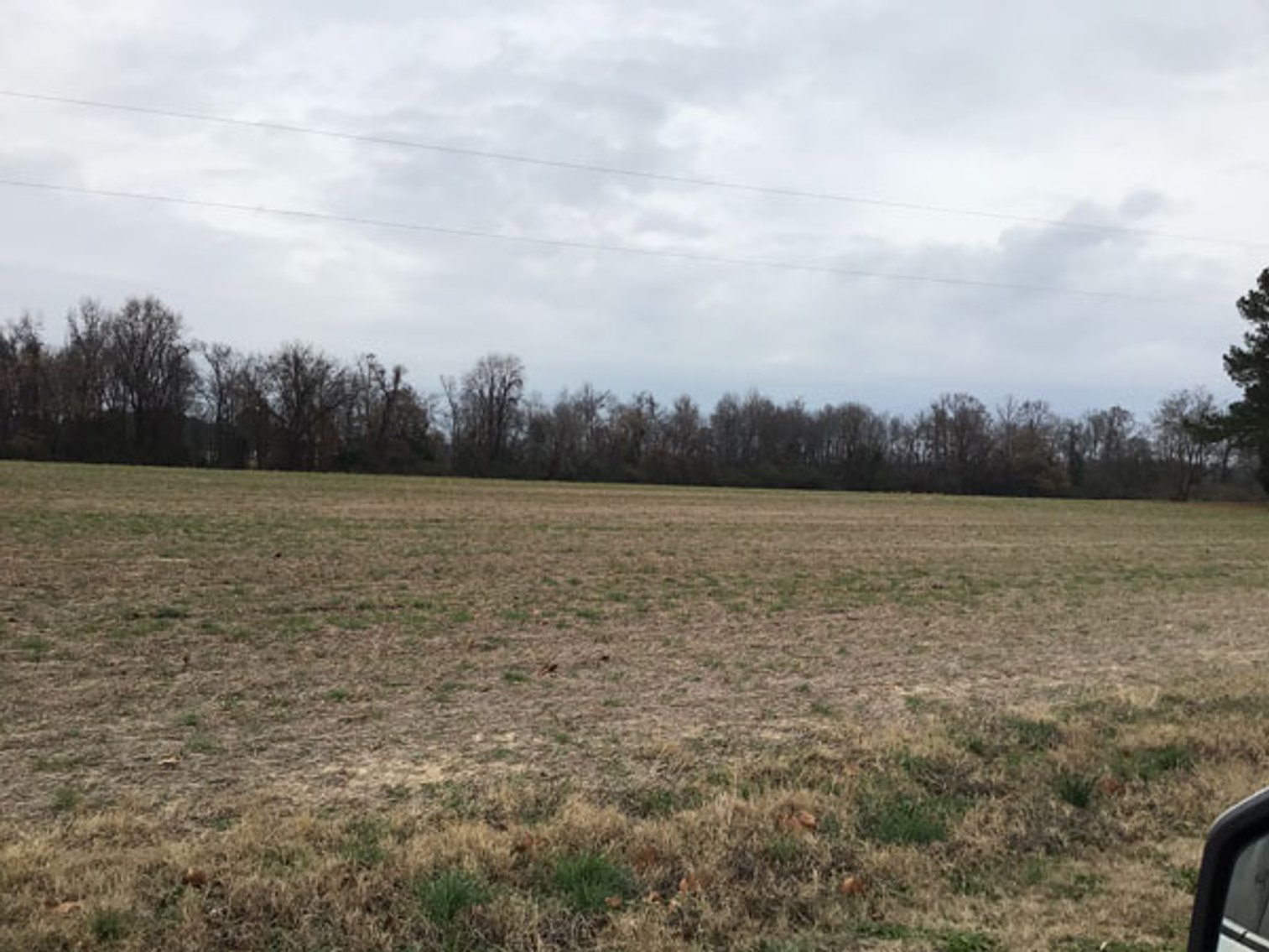 Image for 197 Acres in Harnett County Divided into Multiple Tracts with a Brick Ranch Home!