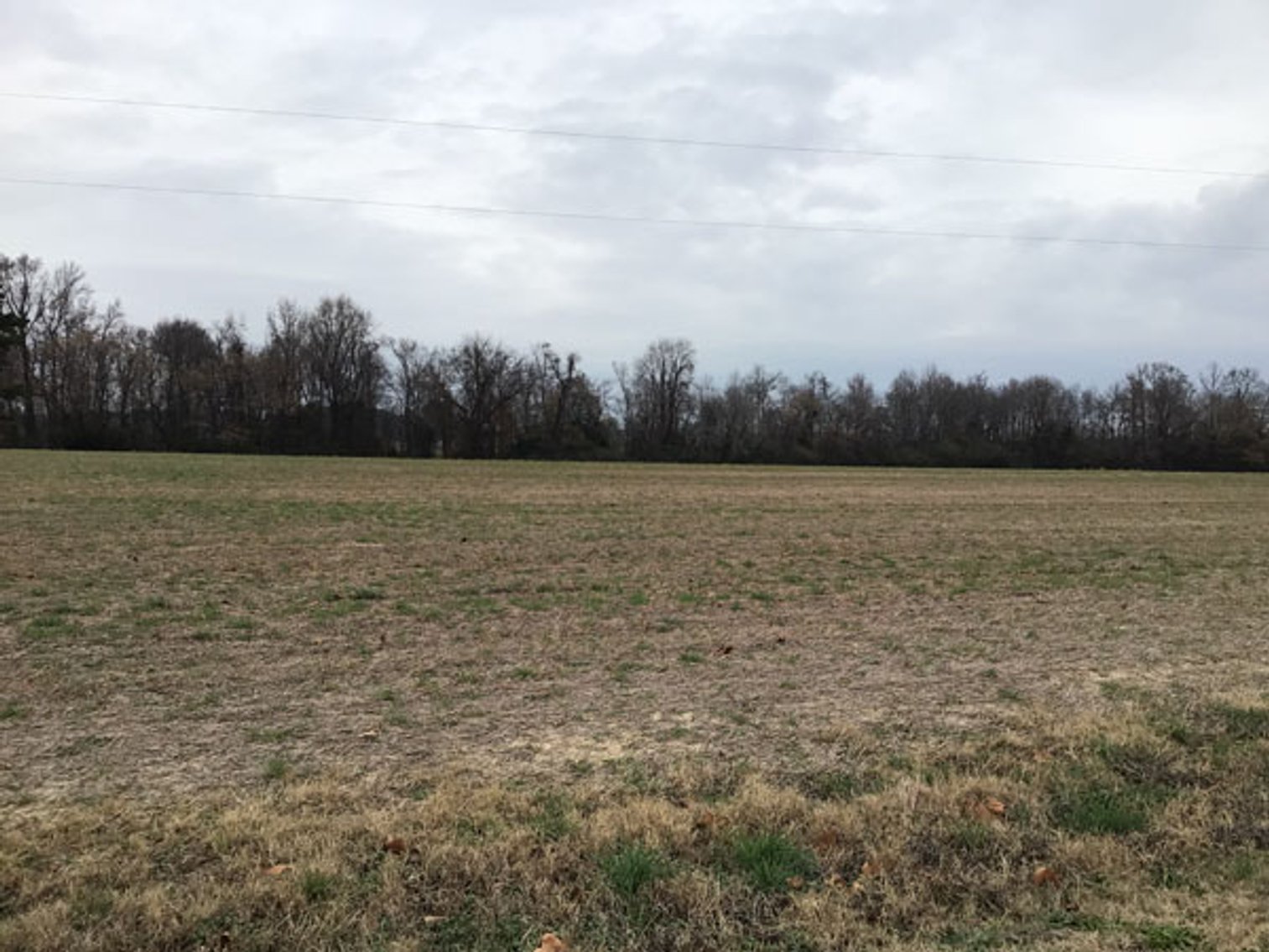 Image for 197 Acres in Harnett County Divided into Multiple Tracts with a Brick Ranch Home!