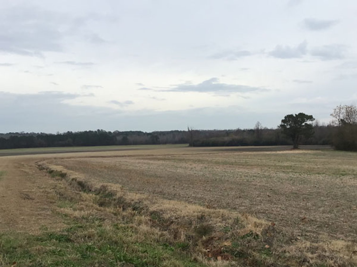 Image for 197 Acres in Harnett County Divided into Multiple Tracts with a Brick Ranch Home!