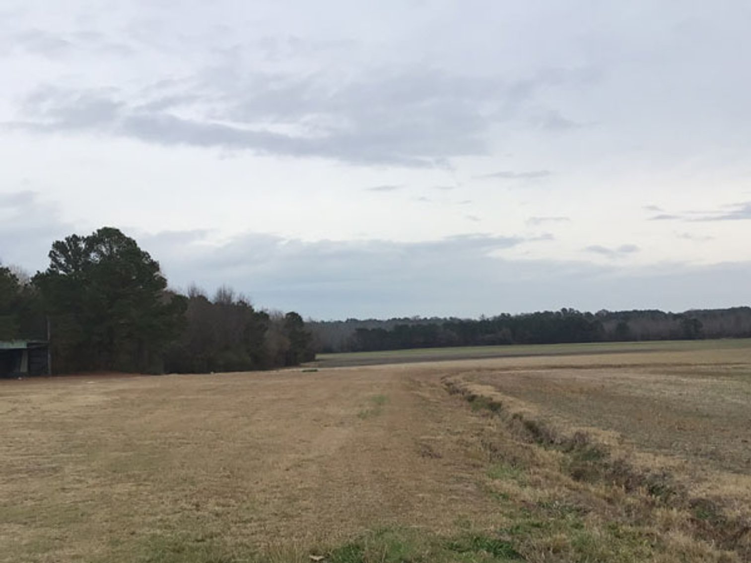 Image for 197 Acres in Harnett County Divided into Multiple Tracts with a Brick Ranch Home!