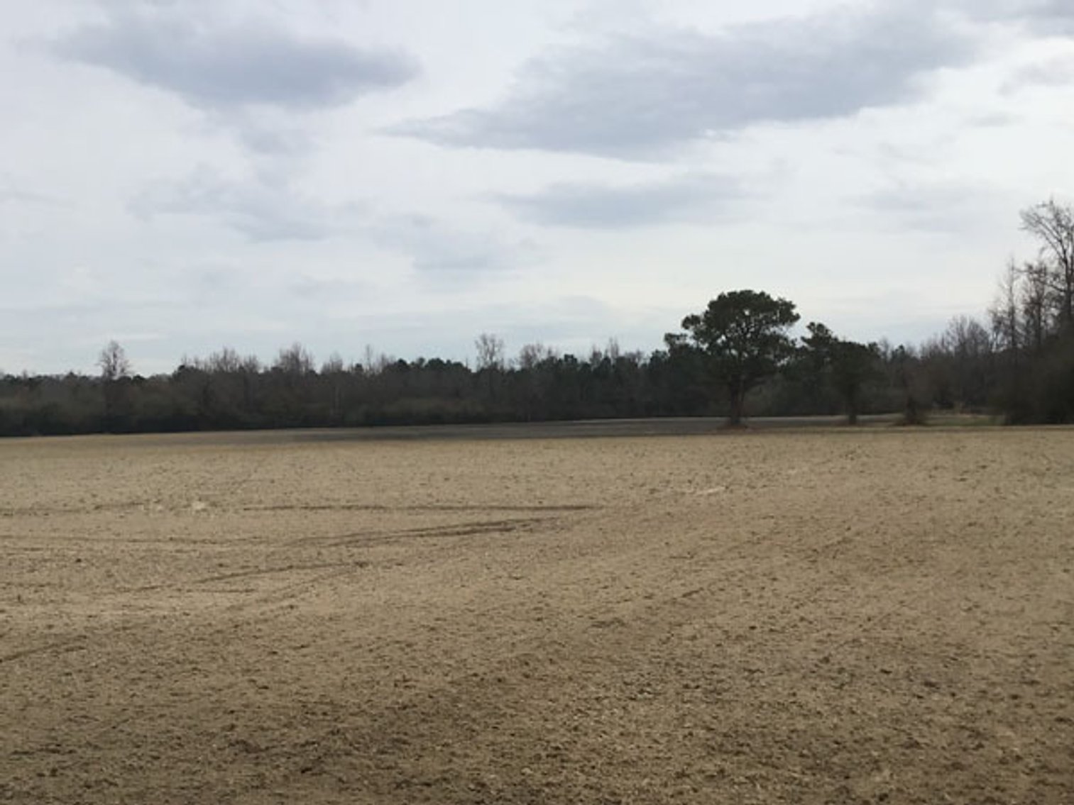 Image for 197 Acres in Harnett County Divided into Multiple Tracts with a Brick Ranch Home!