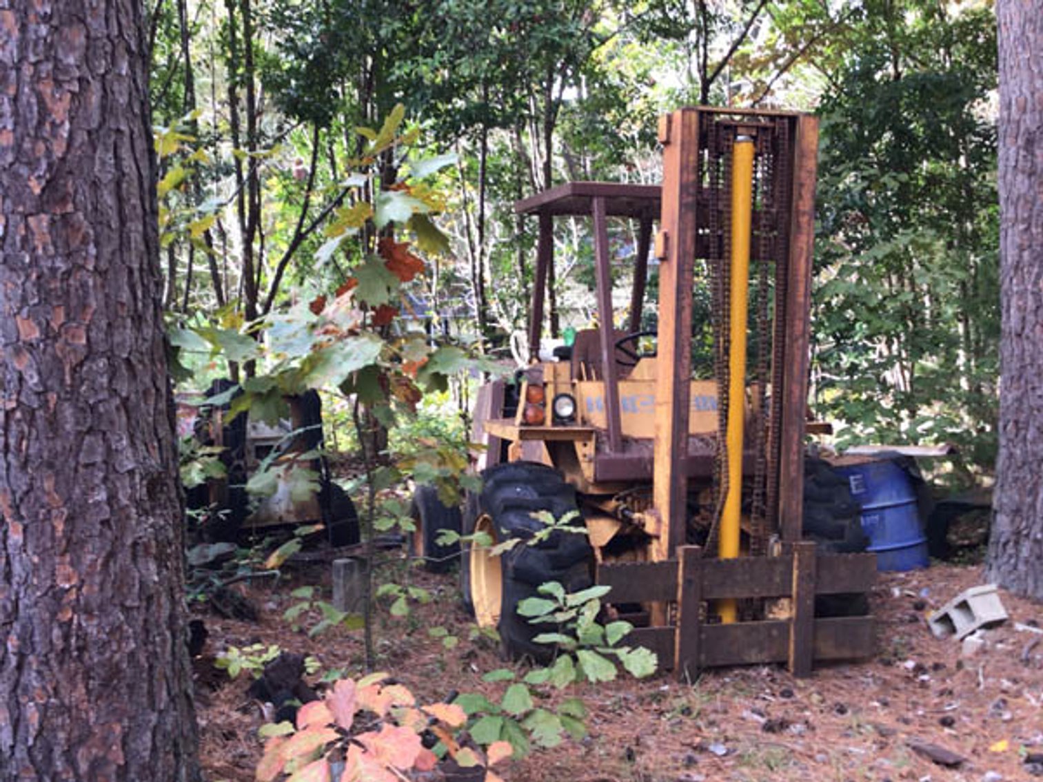 Image for Vintage Tractors, Cars, Trucks and lots of tools!