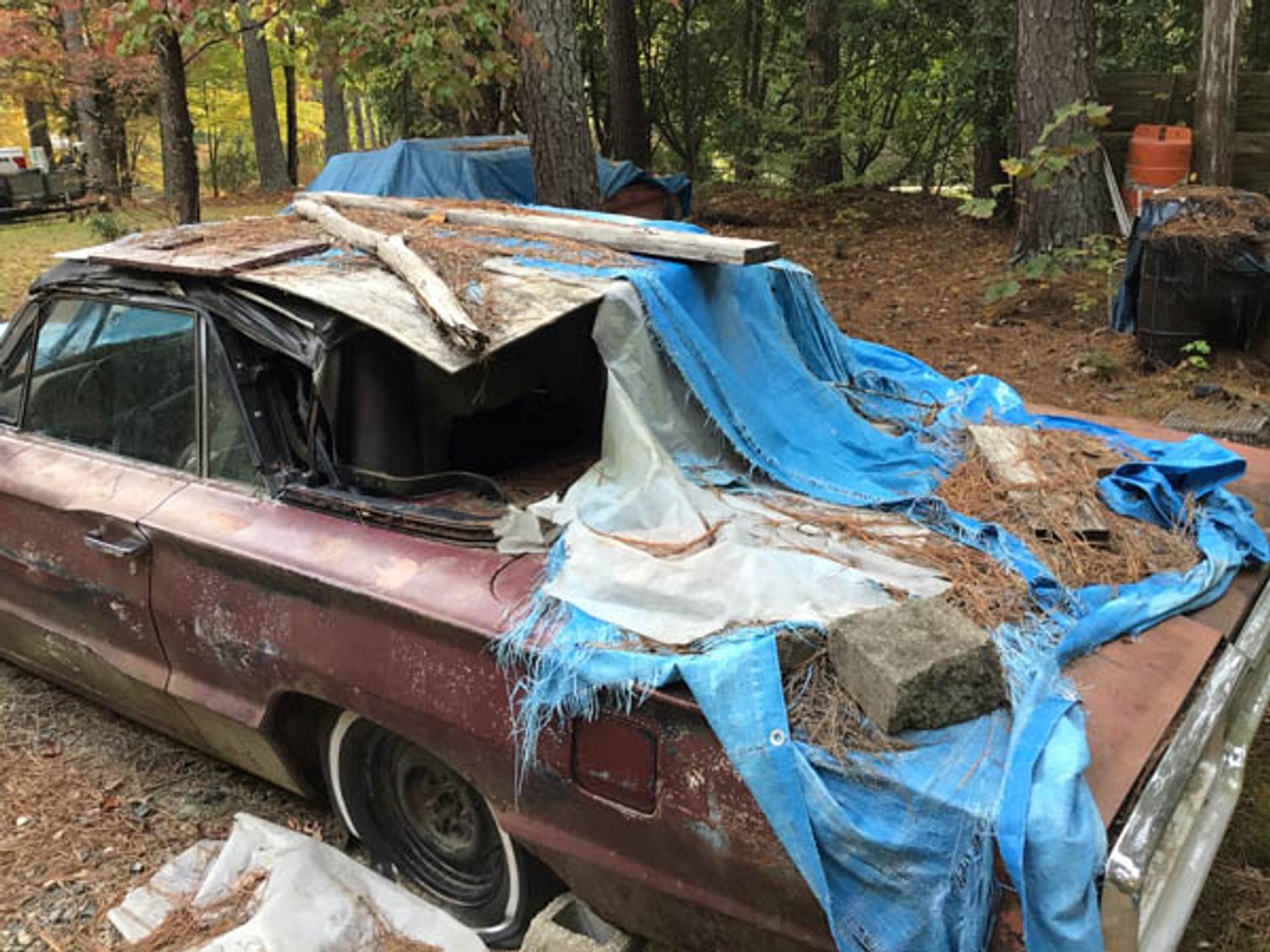 Image for Vintage Tractors, Cars, Trucks and lots of tools!