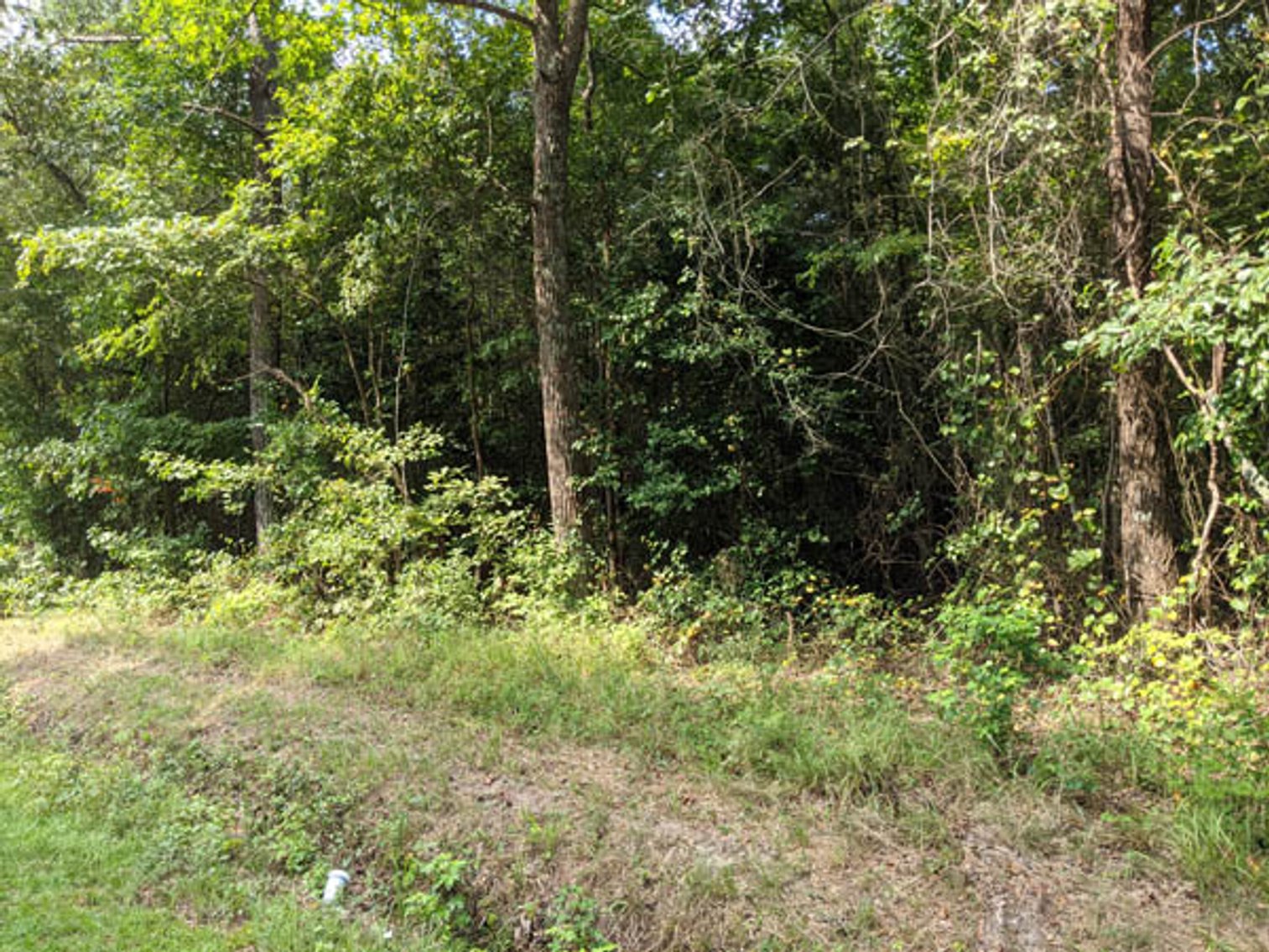 Image for 8+ Acres in Nash County!