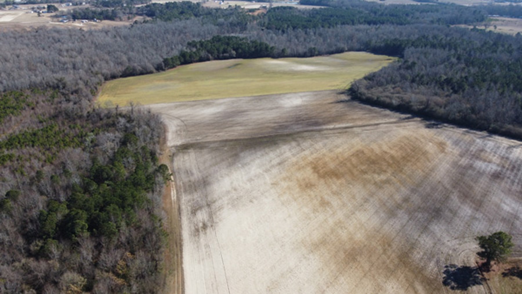 Image for 197 Acres in Harnett County Divided into Multiple Tracts with a Brick Ranch Home!