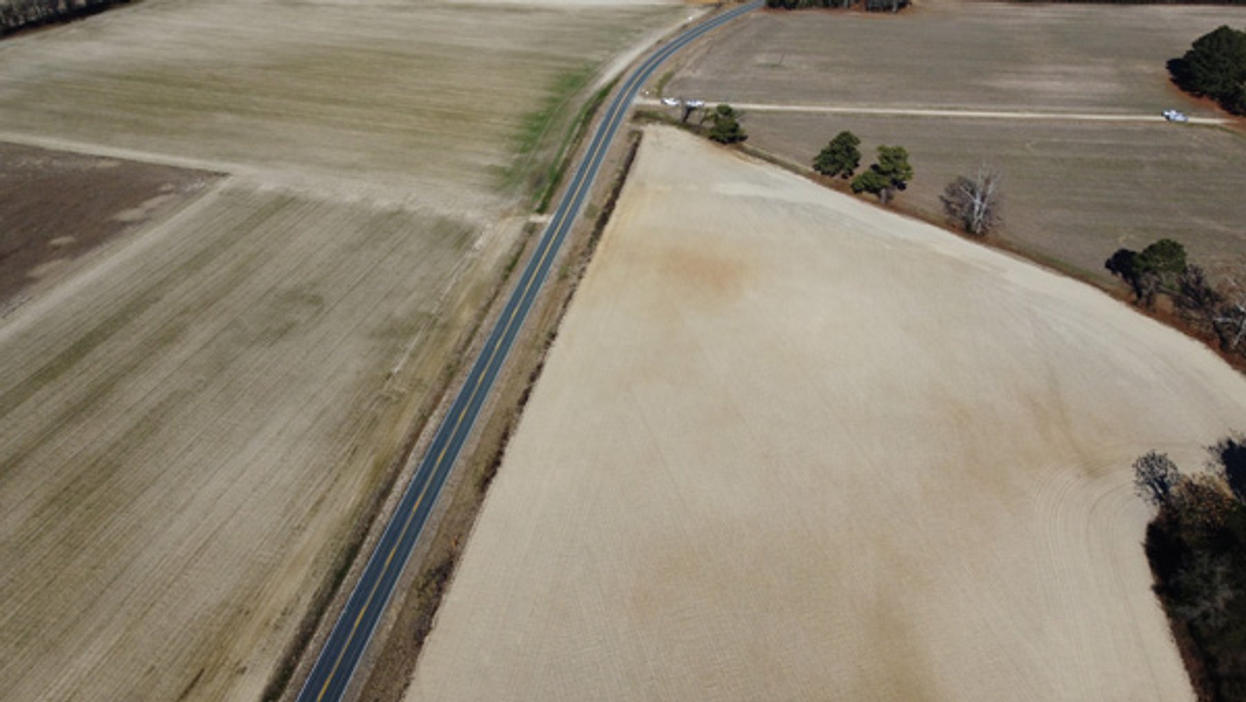 Image for 197 Acres in Harnett County Divided into Multiple Tracts with a Brick Ranch Home!