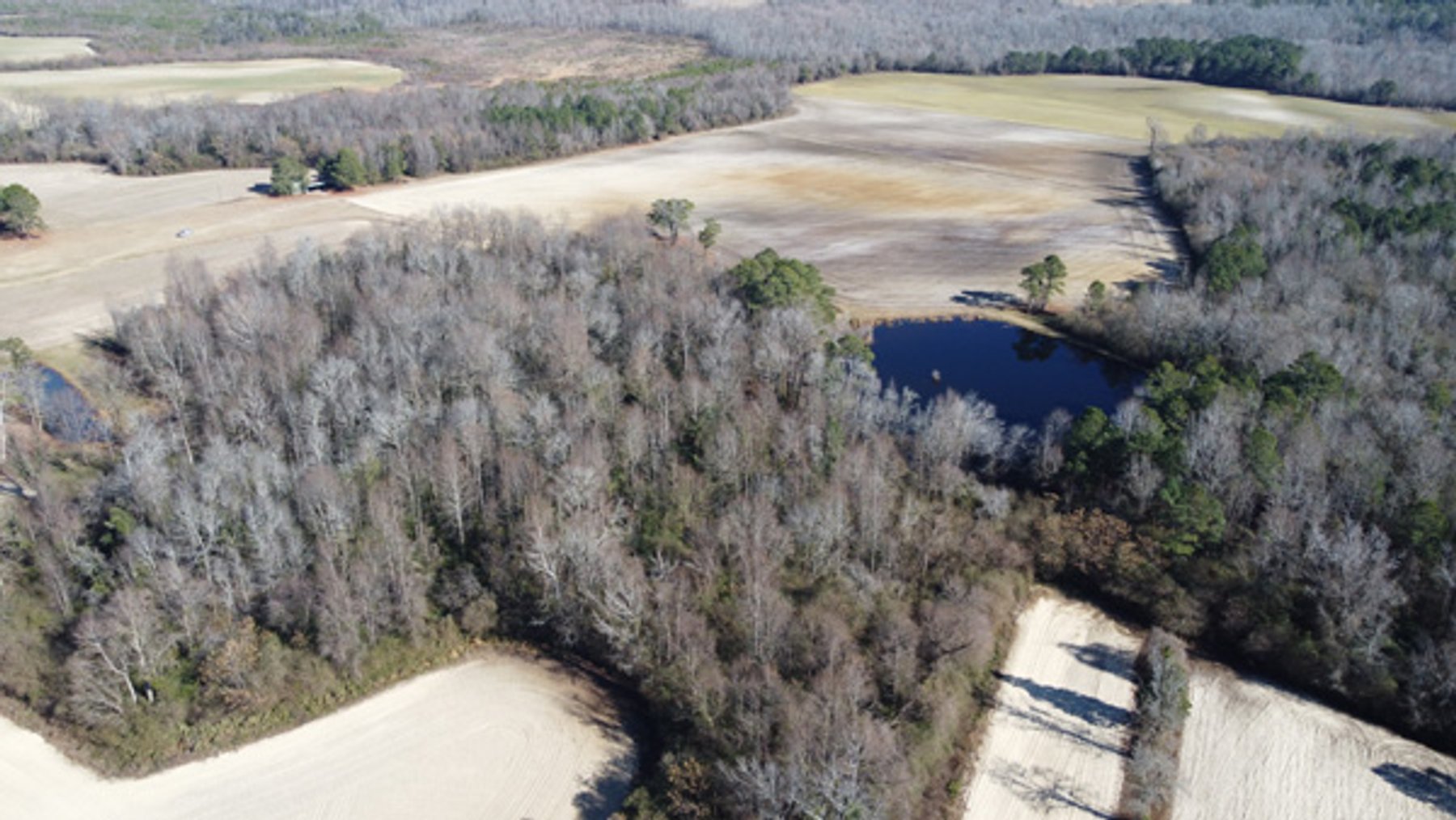 Image for 197 Acres in Harnett County Divided into Multiple Tracts with a Brick Ranch Home!