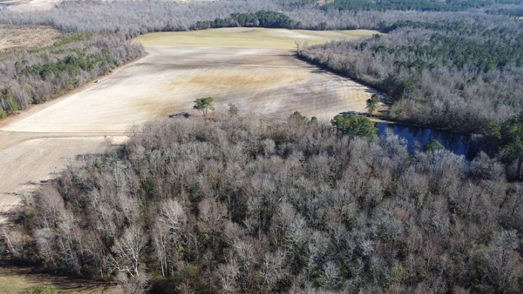 Image for 197 Acres in Harnett County Divided into Multiple Tracts with a Brick Ranch Home!