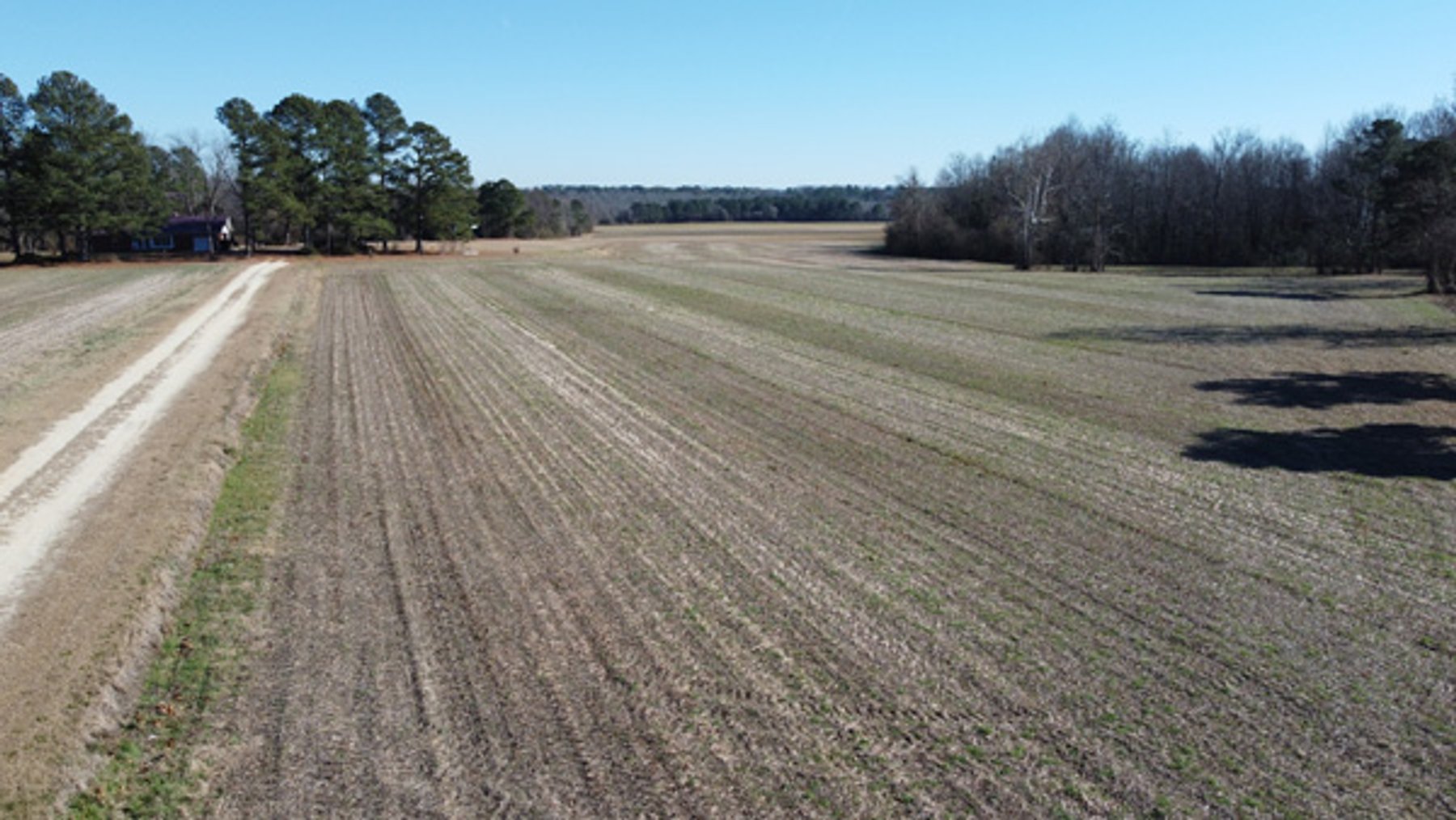 Image for 197 Acres in Harnett County Divided into Multiple Tracts with a Brick Ranch Home!