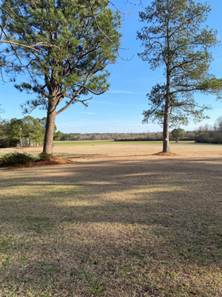 Image for 197 Acres in Harnett County Divided into Multiple Tracts with a Brick Ranch Home!