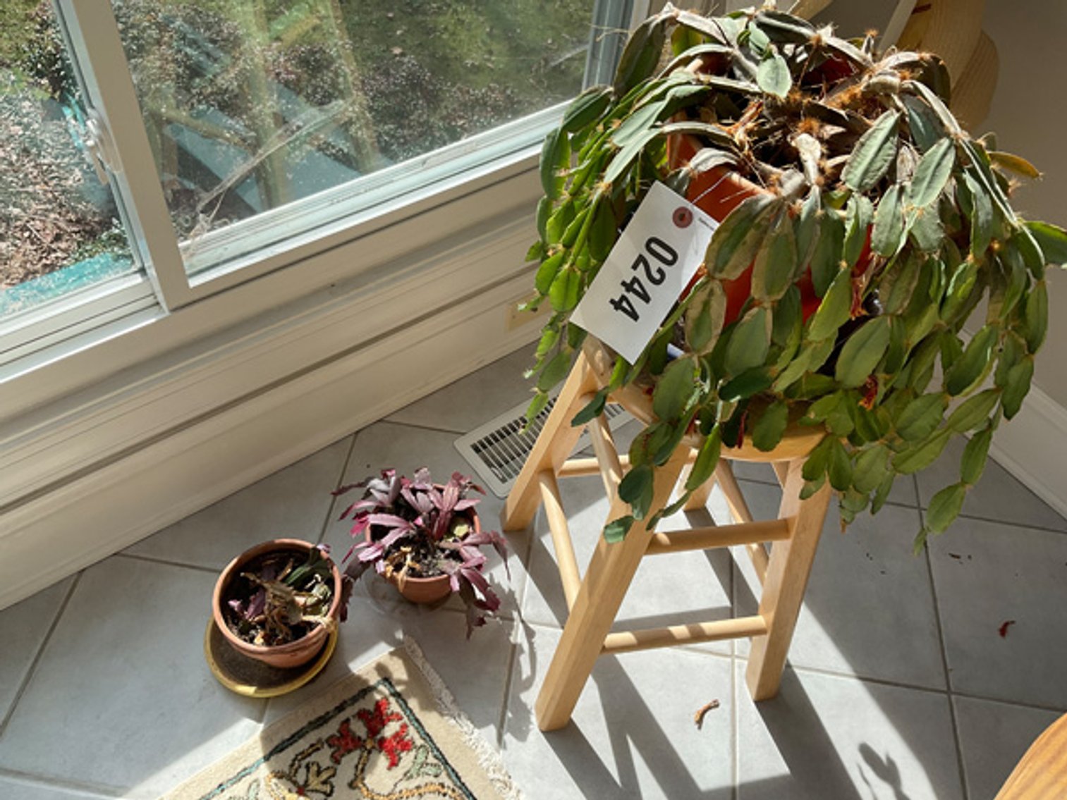 Image for Large Collection of Fine Furnishings