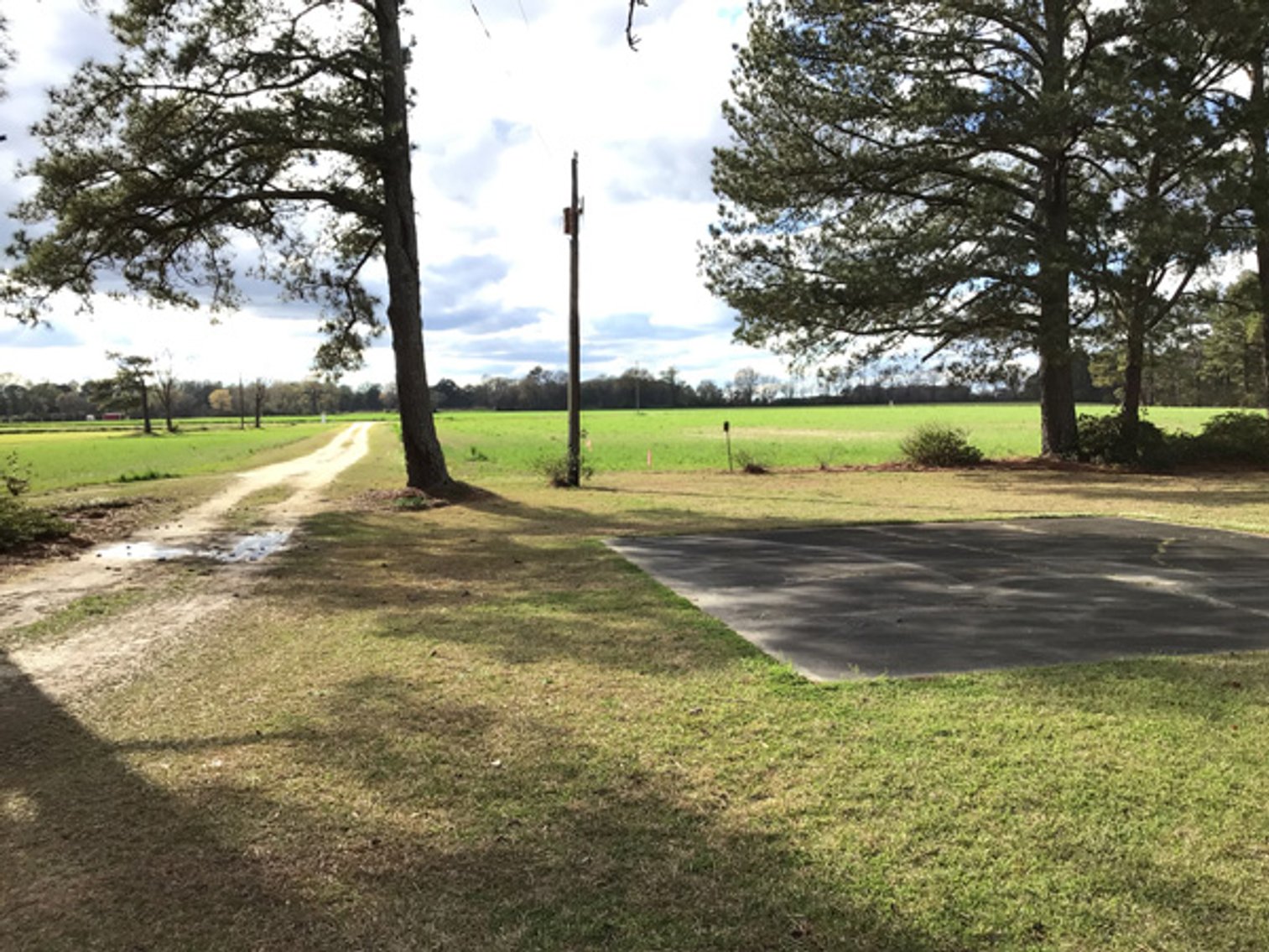 Image for 197 Acres in Harnett County Divided into Multiple Tracts with a Brick Ranch Home!
