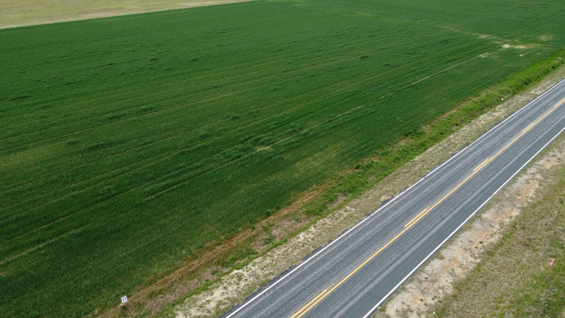 Image for 197 Acres in Harnett County Divided into Multiple Tracts with a Brick Ranch Home!