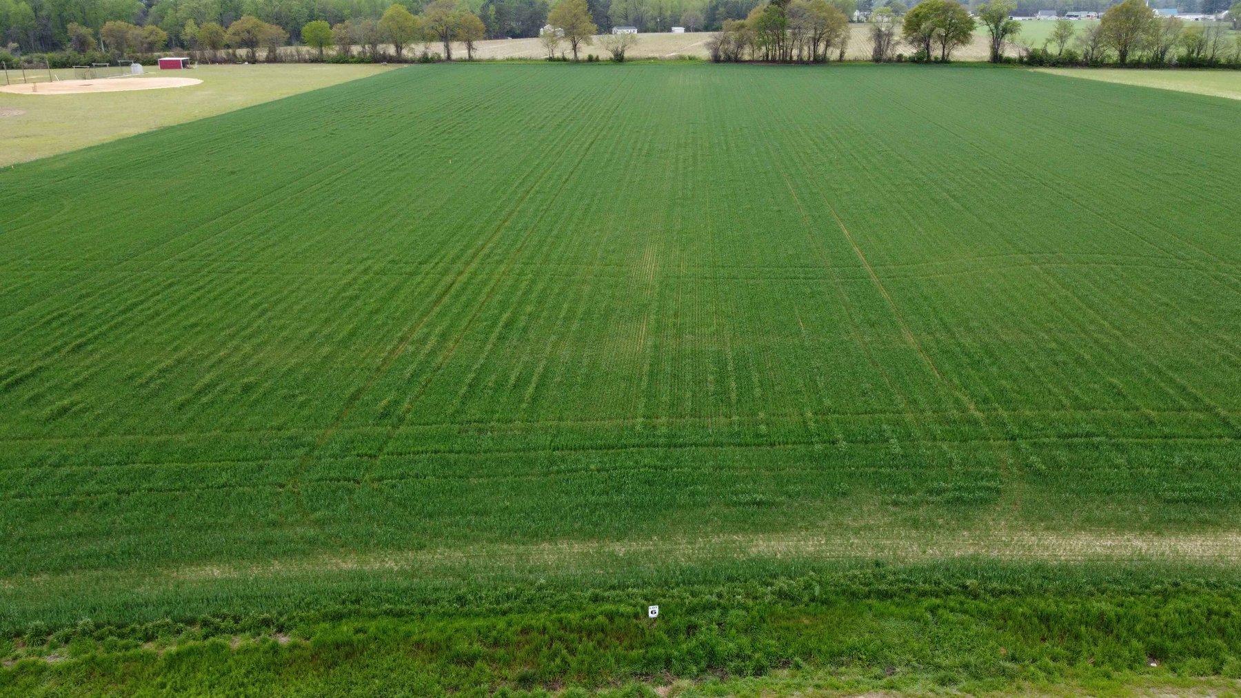 Image for 197 Acres in Harnett County Divided into Multiple Tracts with a Brick Ranch Home!